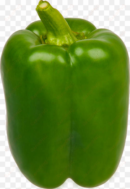 8027304 - bell green peppers