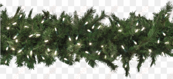 9′ taiga evergreen® garland with 150 led lights - shortleaf black spruce