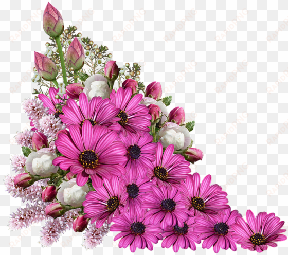 a bouquet of purple roses, f - decoration flowers