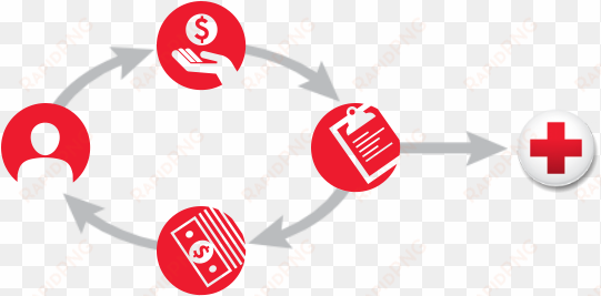a diagram that explains how a gift annuity works - american red cross