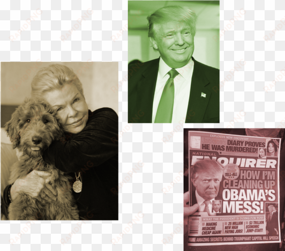 a dog, a trump, & a national enquirer - companion dog