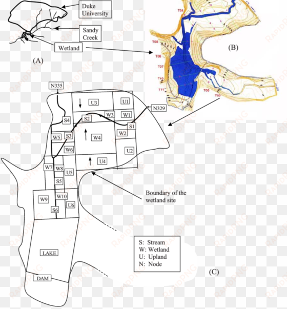 a) duke university and wetland site watersheds in durham, - diagram