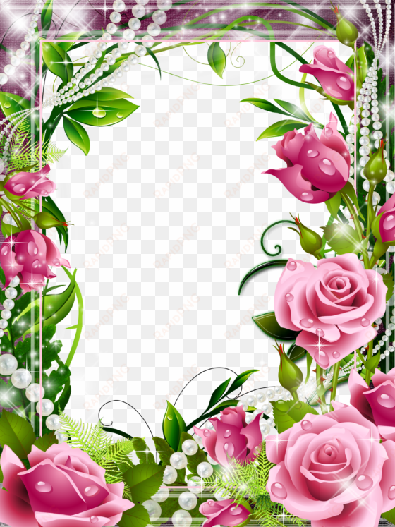 a frame background, pink roses, png photo, borders - 5d diy diamond painting cross stitch pink rose diamond