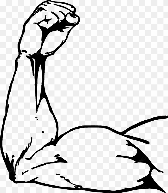 a good workout for forearms - muscle arm drawing png