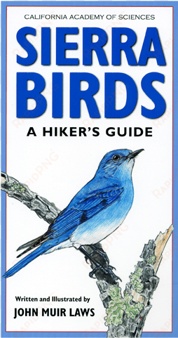 a hiker's guide - sierra birds: a hiker's guide