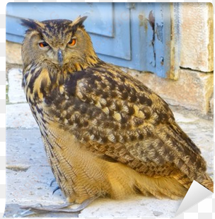 a large european eagle owl posing during a trade fair - europe