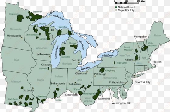 a map of the eastern region of the united states displaying - united states national forest