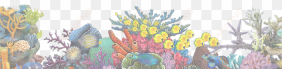 a one of a kind, tropical fish emporium, jungle aquatics, - coral (pink) wall decal, home decor decals,