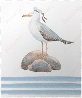 a set of watercolor drawings in a sea-style gull on - watercolor painting