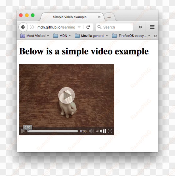 a simple video player showing a video of a small white - video