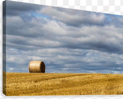 a single hay bale on a cut field under a cloudy sky - posterazzi a single hay bale on a cut field under a