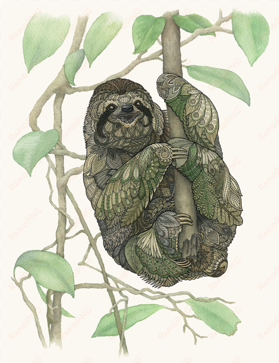 a sloth, just hanging out - paper