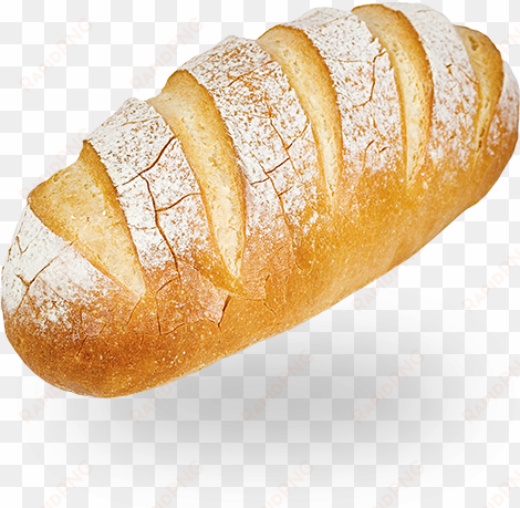 a traditional italian bread - bread