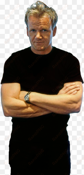 “a transparent gordon ramsay to judge your blog - gordon ramsay