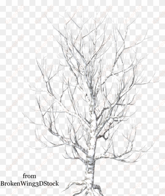 a tree in winter - winter trees transparent background