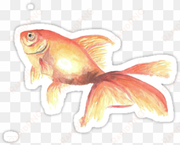 a watercolor goldfish because who doesn't need a little - goldfish