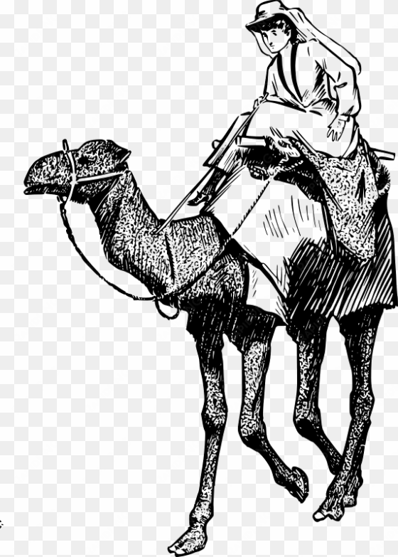 a woman in a camel - woman in a camel art