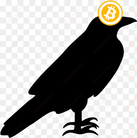 about crypto ravens - common raven