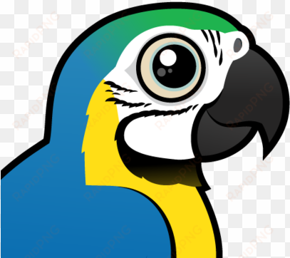 about the blue and yellow macaw - blue throated macaw cartoon clip