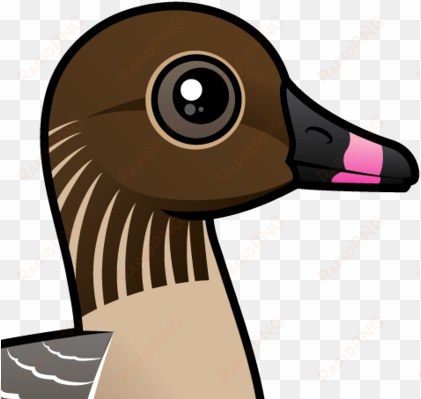 about the pink-footed goose - gans mit roten füßen grußkarte