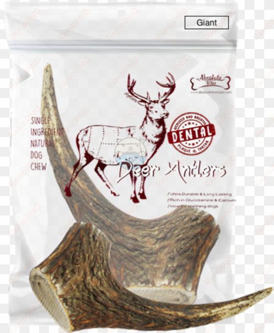 absolute bites whole deer antlers dental chew - absolute bites whole deer