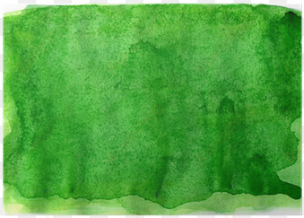 abstract green watercolor background poster • pixers® - lawn