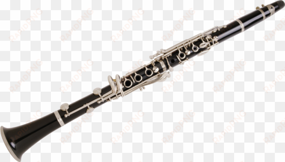 acordeon png - clarinet png