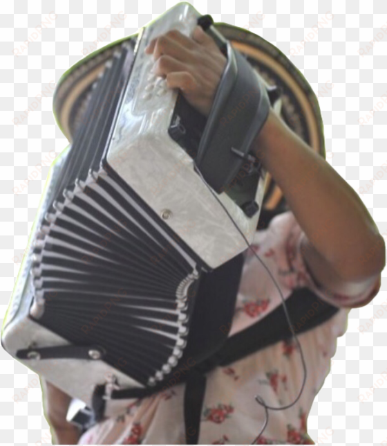 acordeonista acordeon festival colombia honer vallenato - accordion