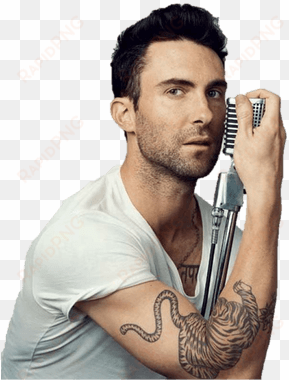 adam levine - adam levine png