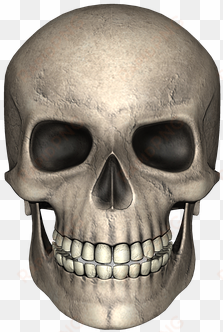 adult content safesearch skull day of the dead bone - tierisches eiweiß ist ungesund - epub