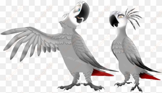 african grey parrots by melhellmoon on deviantart - african gray parrot drawing