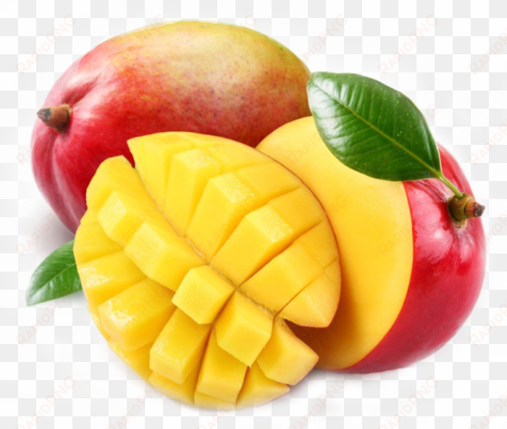 african mango fruit - african mango png