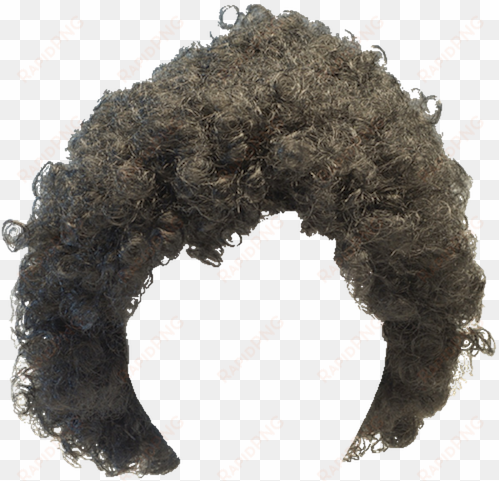 afro wig png - wig hair png for man