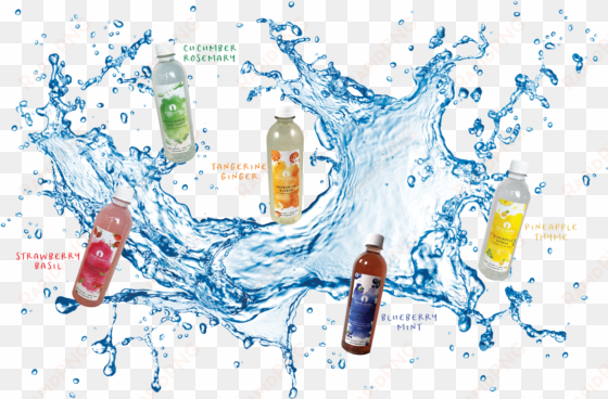 aiding in efficient digestion and absorption of nutrients - water splash design png