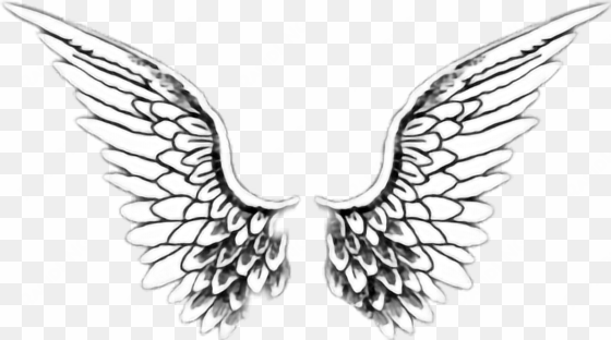 alas white tumblr - angel wings transparent