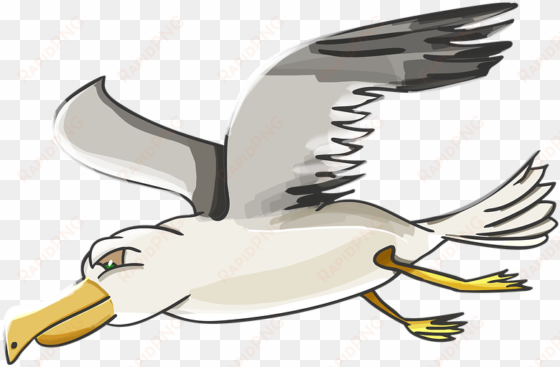 albatross clipart beach - gulls