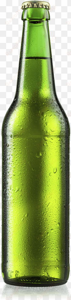 alcohol bottles png vector transparent stock - green beer bottle png
