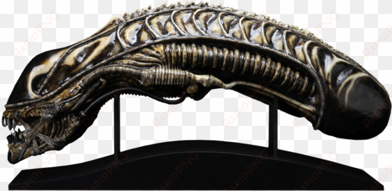 Alien transparent png image