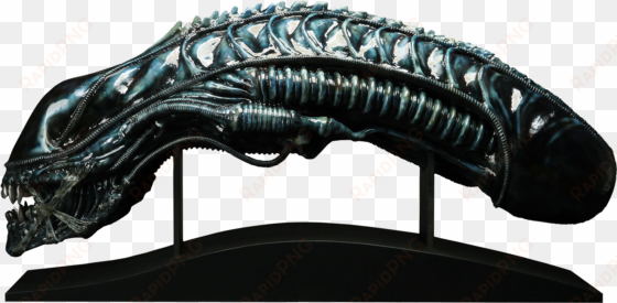 alien - alien warrior life-size head aliens prop replica