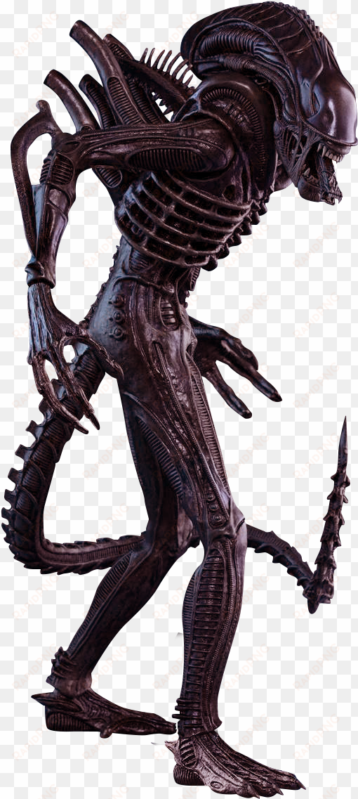 Aliens Cutouts Animalaliens - Alien Warrior Sixth Scale Hot Toys Action Figure transparent png image