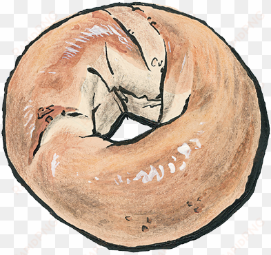 all breads - drawing of bagel