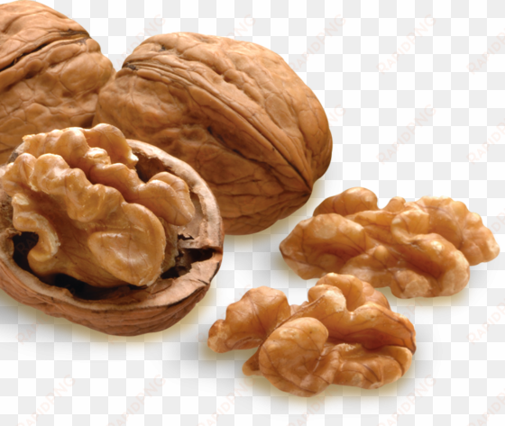 all nuts are not created equal - all nut