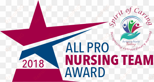 all pro nursing team award application - team nursing