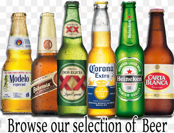 all your beverage needs - heineken beer bottles (6 pack) (330ml)