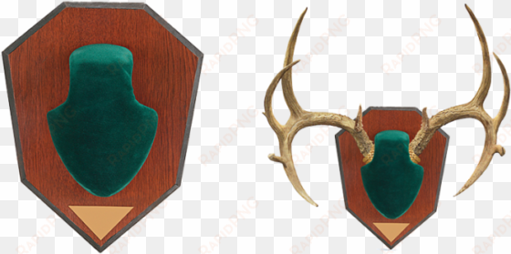 allen company antler mounting kit - allen company skull cover antler mounting kit