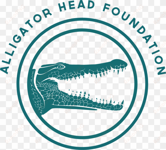 alligator head foundation