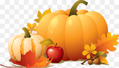 alphagraphics rochester - thanksgiving pumpkin png