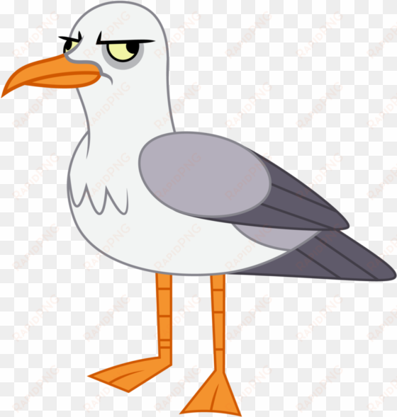 amarthgul, bird, safe, seagull, simple background, - seagull clear background