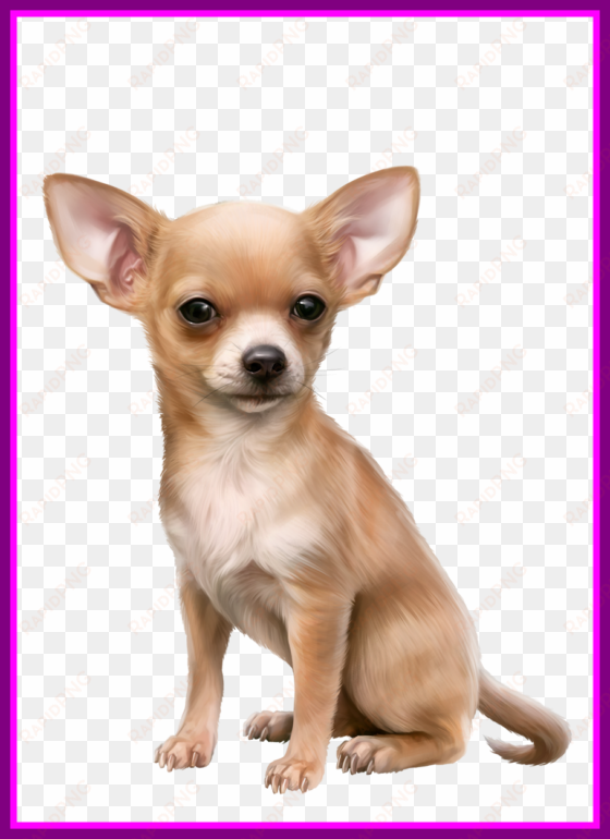 amazing a vector illustration of different dog - chihuahua clip art