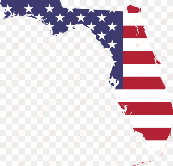 america map big image png - florida with american flag